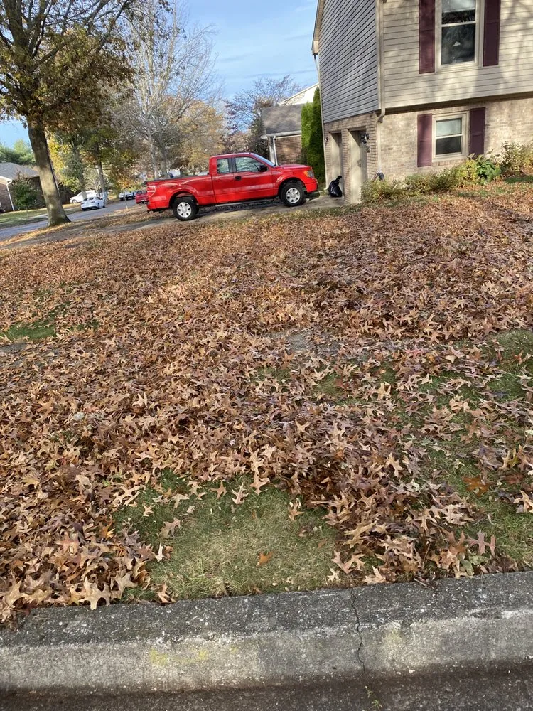 Trusted lawn mowing service near you across Lexington, KY - Luna Lawn and Landscaping Services