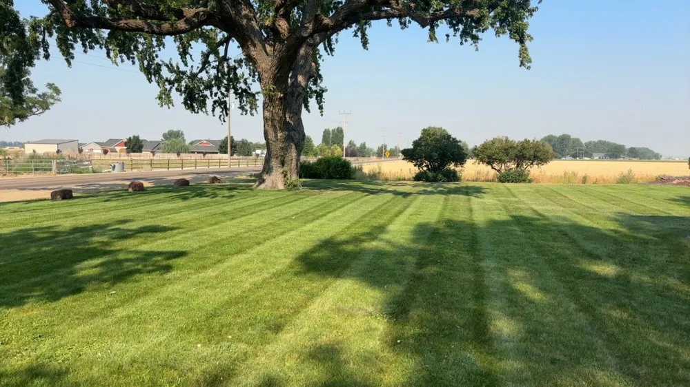Custom lawn mowing service for residential properties in Wilder, ID by Luna Lawn Care