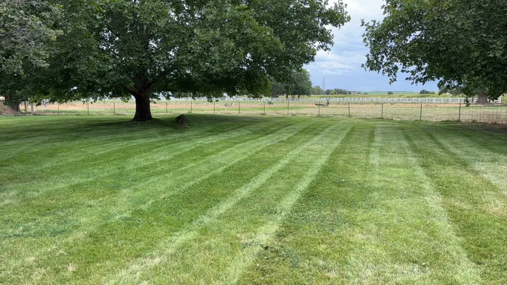 Reliable residential landscaping experts serving Wilder, ID - Luna Lawn Care