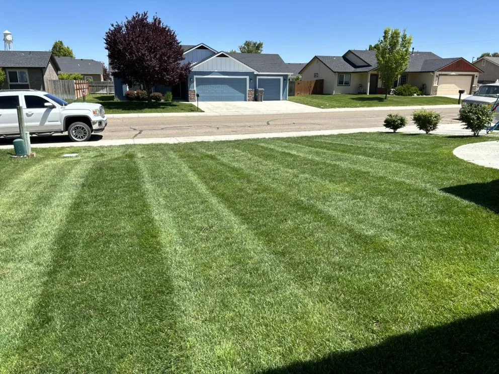 Professional yard cleanup service experts serving Wilder, ID - Luna Lawn Care