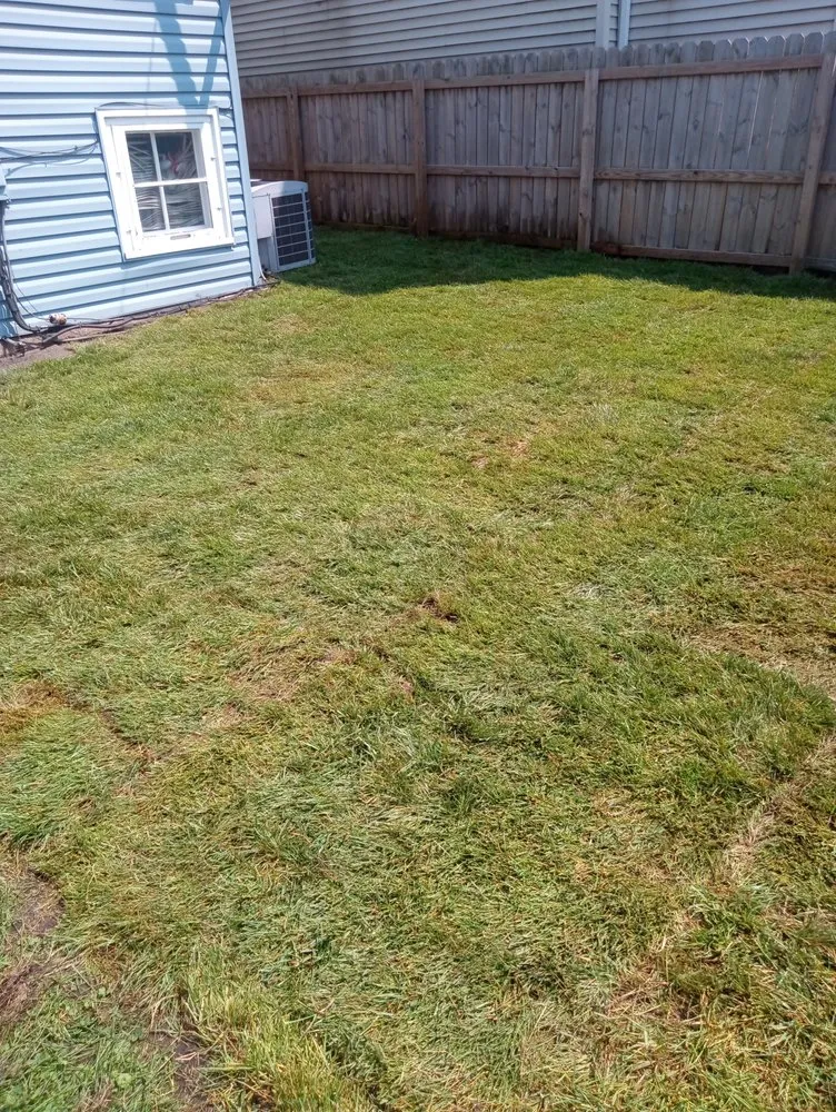 Affordable yard maintenance for homes across Merrillville, IN - Luna Lever