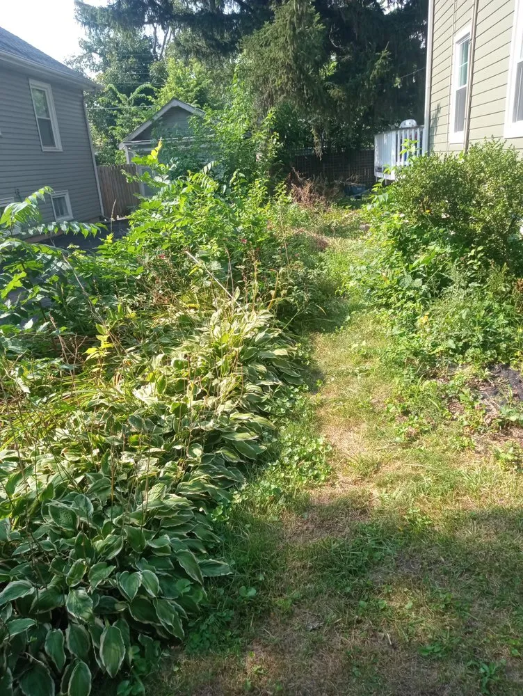 Custom yard maintenance with custom design across Merrillville, IN - Luna Lever