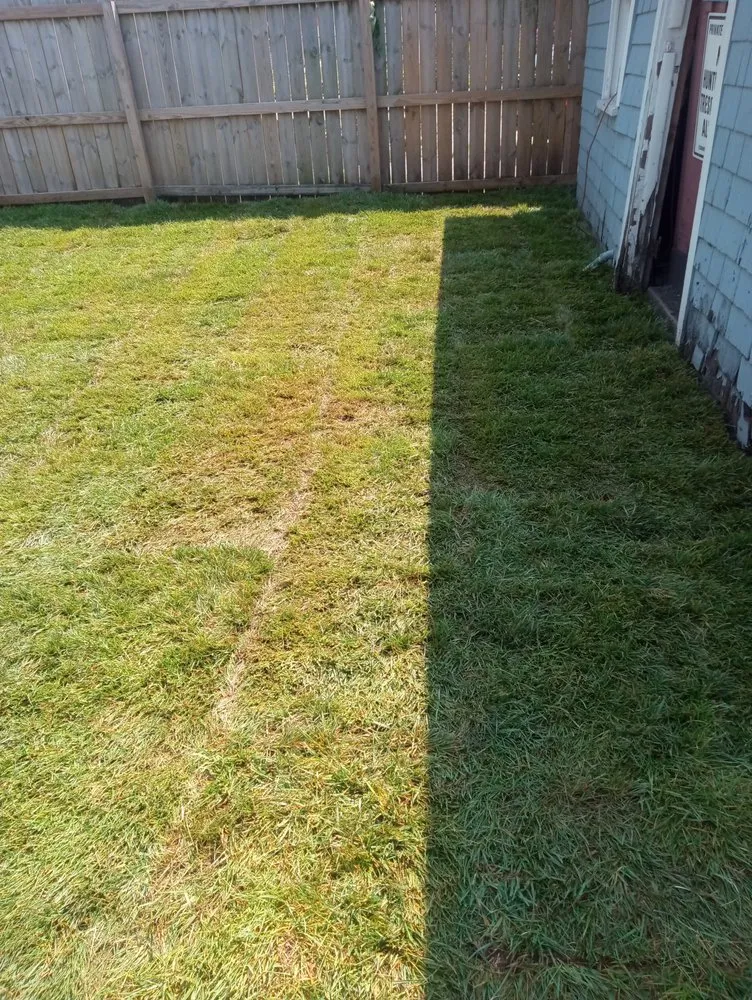 Top-rated residential landscaping in Merrillville, IN by Luna Lever