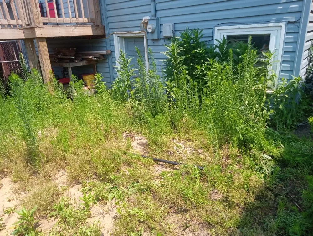 Affordable yard cleanup service in Merrillville, IN by Luna Lever