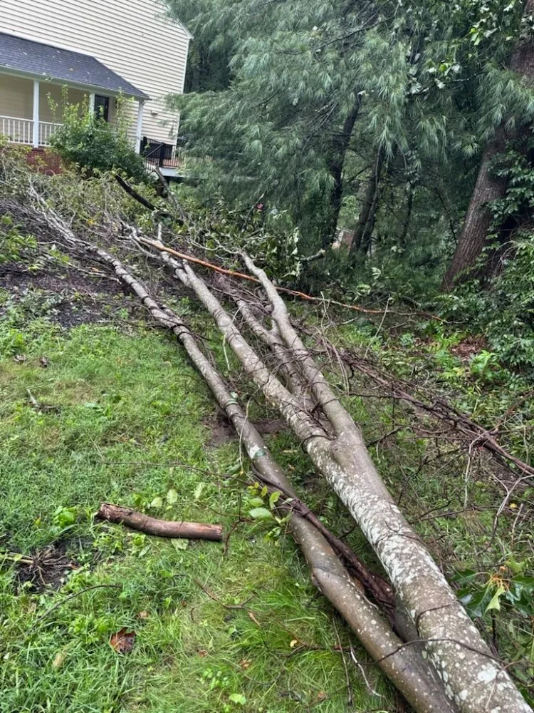 Affordable outdoor landscaping for outdoor upgrades across Orange, VA - Luna Tree & Landscape Service