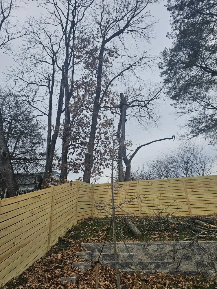 Professional yard maintenance for outdoor upgrades across Orange, VA - Luna Tree & Landscape Service