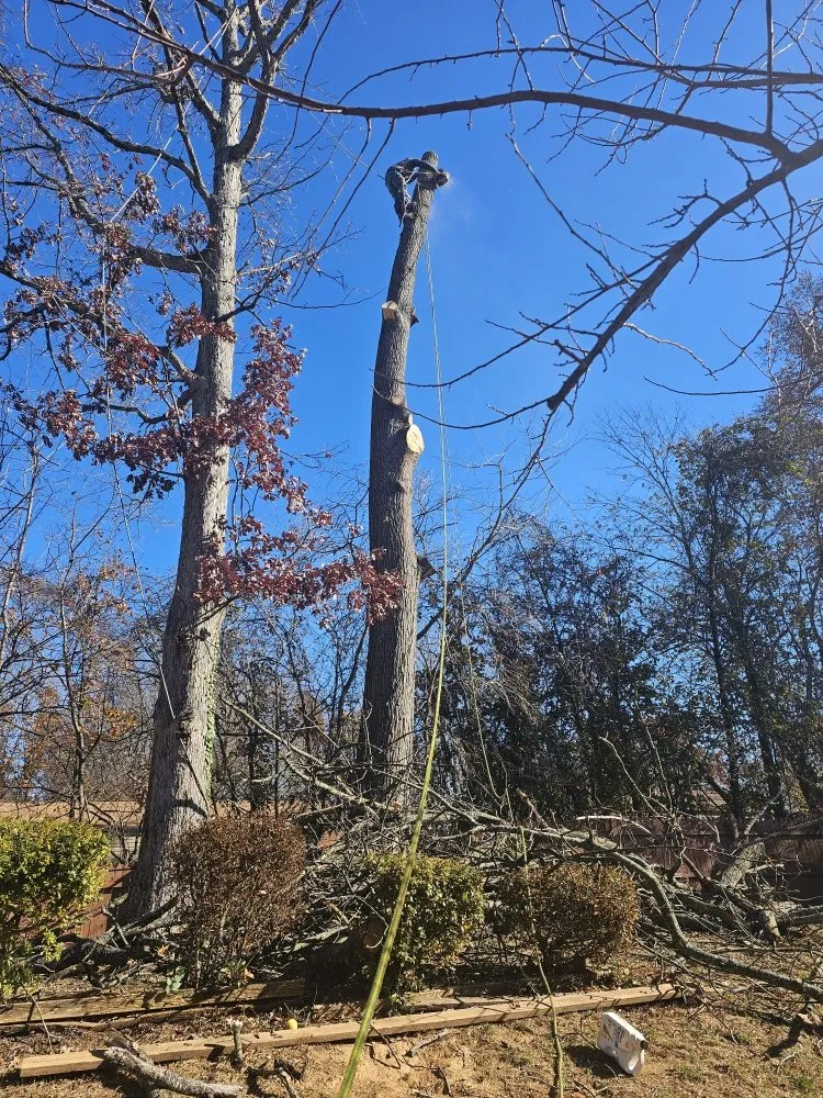 Expert outdoor landscaping for outdoor upgrades in Orange, VA by Luna Tree & Landscape Service