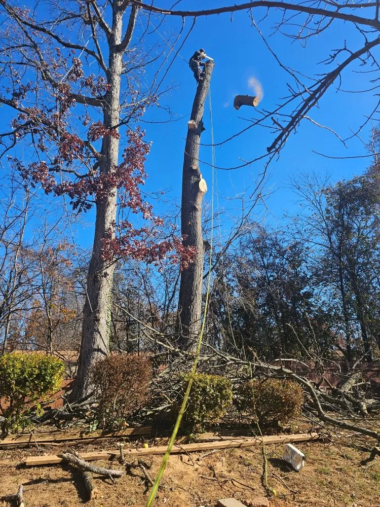 Affordable lawn mowing service in Orange, VA by Luna Tree & Landscape Service