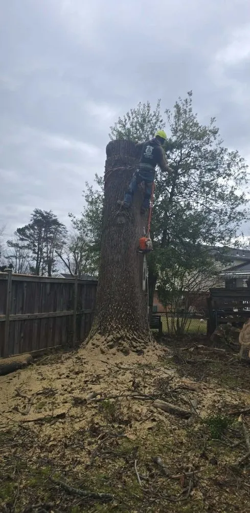 Reliable landscape installation experts serving Orange, VA - Luna Tree & Landscape Service