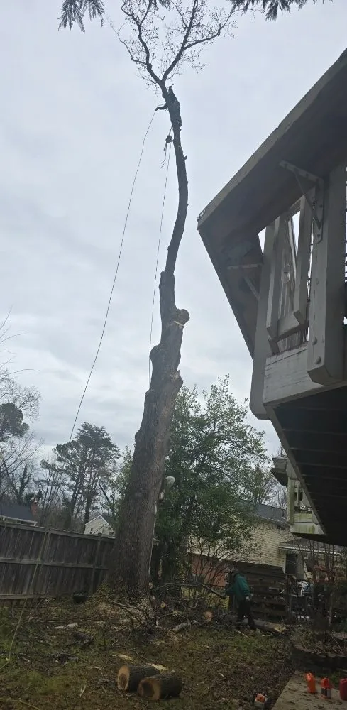 Affordable lawn care service with custom design across Orange, VA - Luna Tree & Landscape Service