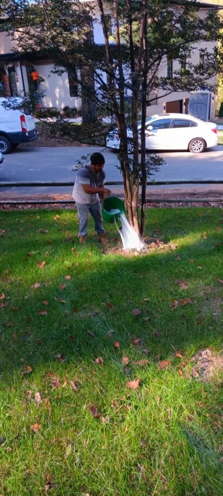 Trusted landscape design near you across Orange, VA - Luna Tree & Landscape Service