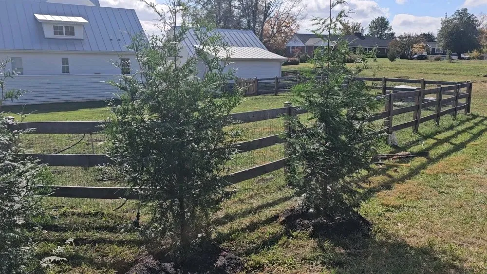 Professional residential landscaping for residential properties across Orange, VA - Luna Tree & Landscape Service