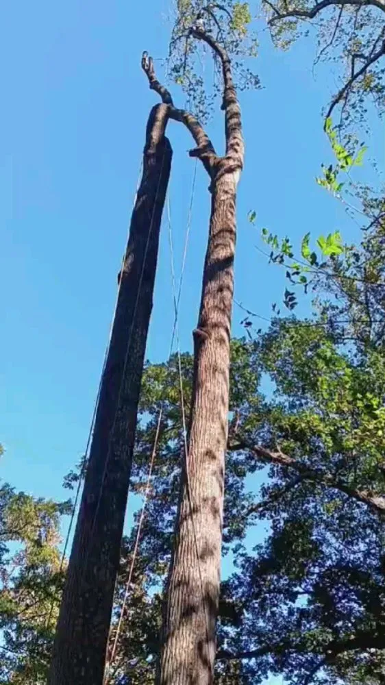 Top-rated landscape design for homes across Orange, VA - Luna Tree & Landscape Service