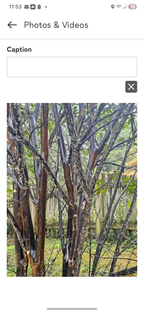 Trusted lawn care service with custom design in Orange, VA by Luna Tree & Landscape Service