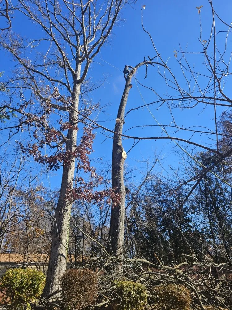 Local landscaping services for homes across Orange, VA - Luna Tree & Landscape Service