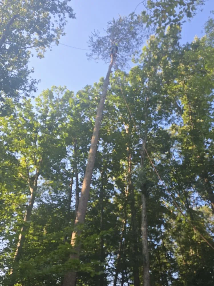 Professional garden landscaping in Orange, VA by Luna Tree & Landscape Service