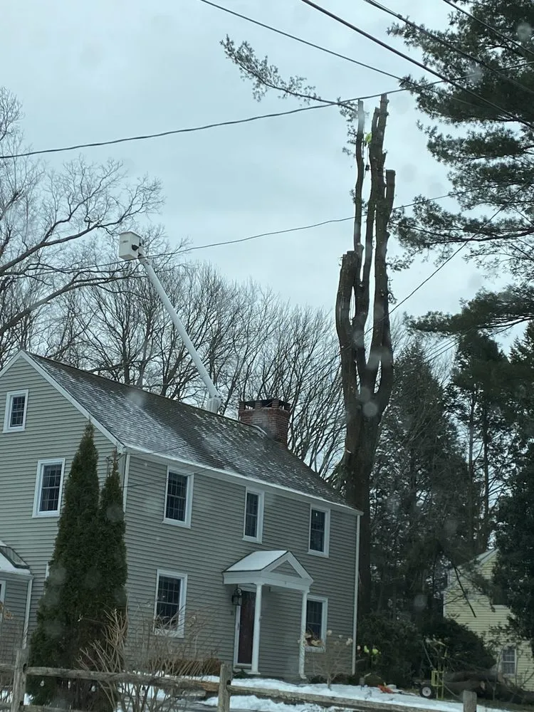 Reliable lawn care service experts serving West Hartford, CT - Luna Tree Care