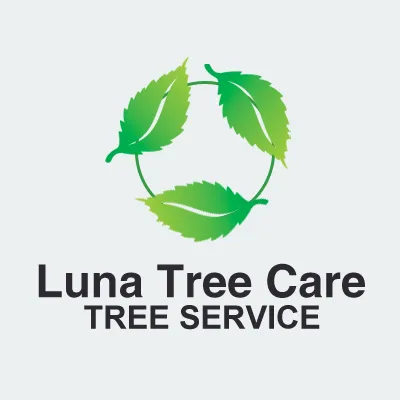 Trusted lawn care service for year-round maintenance across West Hartford, CT - Luna Tree Care