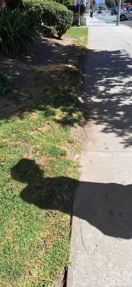 Expert outdoor landscaping experts serving Los Angeles, CA - LunaBella Landscape Services