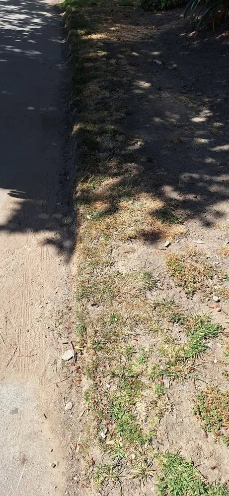 Professional landscape design in Los Angeles, CA - LunaBella Landscape Services