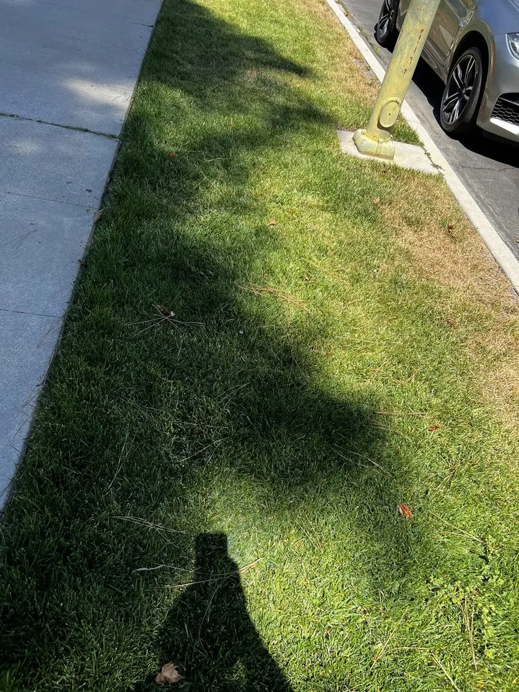 Affordable lawn care service in Los Angeles, CA by LunaBella Landscape Services