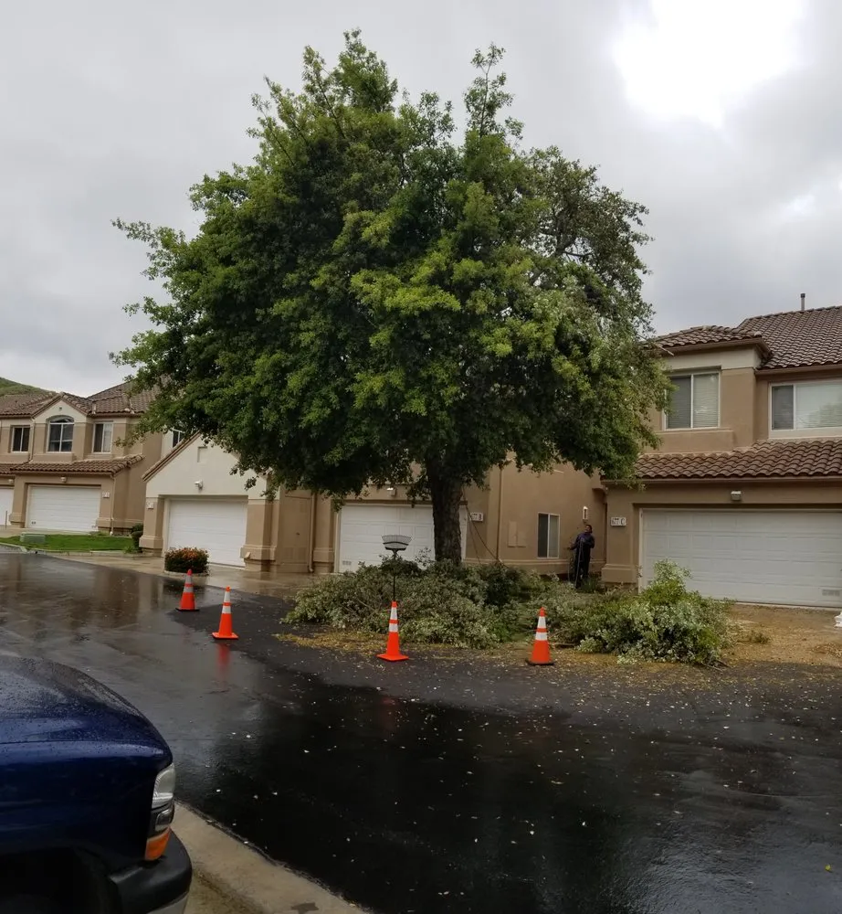 Affordable garden landscaping with custom design in Los Angeles, CA by LunaBella Landscape Services