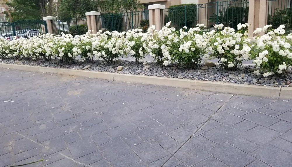 Custom outdoor landscaping with custom design in Los Angeles, CA by LunaBella Landscape Services