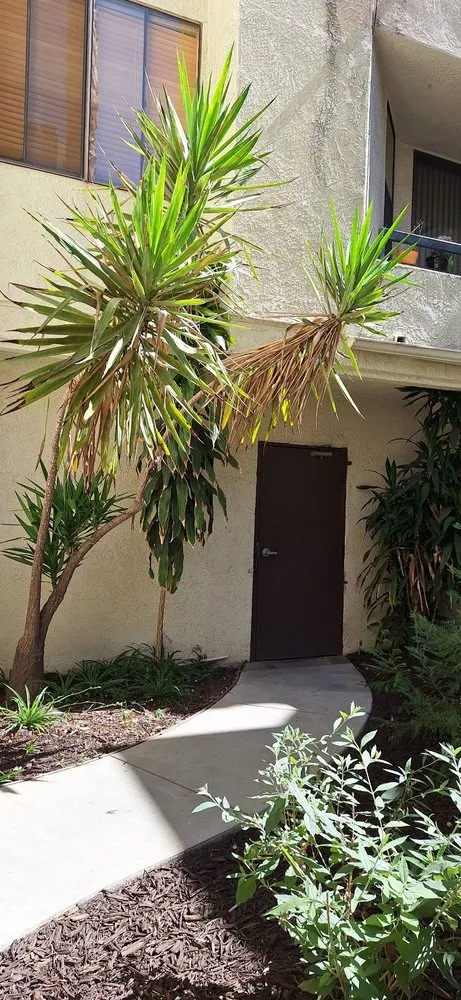 Top-rated landscaping services experts serving Los Angeles, CA - LunaBella Landscape Services