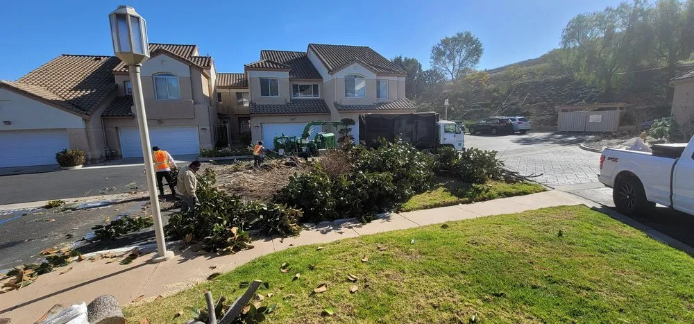 Reliable outdoor landscaping for year-round maintenance in Los Angeles, CA by LunaBella Landscape Services