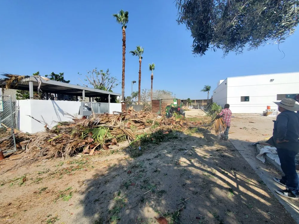 Affordable landscape installation in Los Angeles, CA - LunaBella Landscape Services