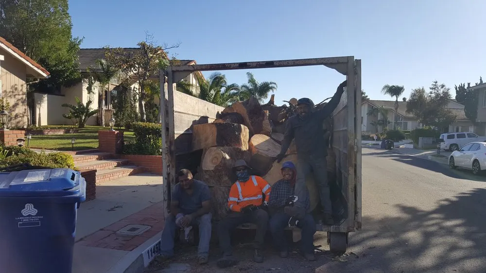 Trusted lawn care service near you in Los Angeles, CA by LunaBella Landscape Services