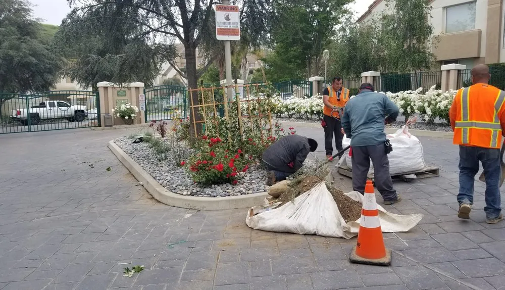 Trusted lawn mowing service for year-round maintenance in Los Angeles, CA by LunaBella Landscape Services