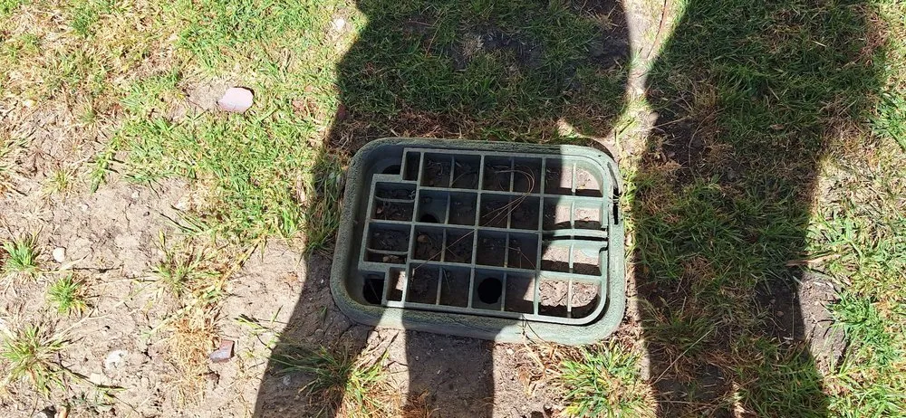 Local outdoor landscaping in Los Angeles, CA by LunaBella Landscape Services