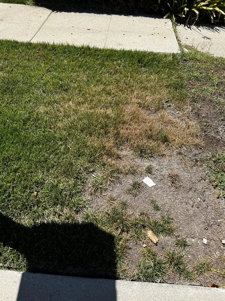 Trusted lawn care service near you across Los Angeles, CA - LunaBella Landscape Services