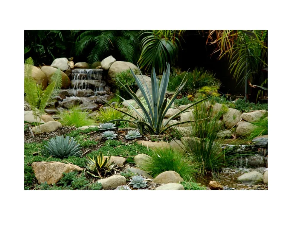 Custom landscaping services in Los Angeles, CA by Lunaquatic