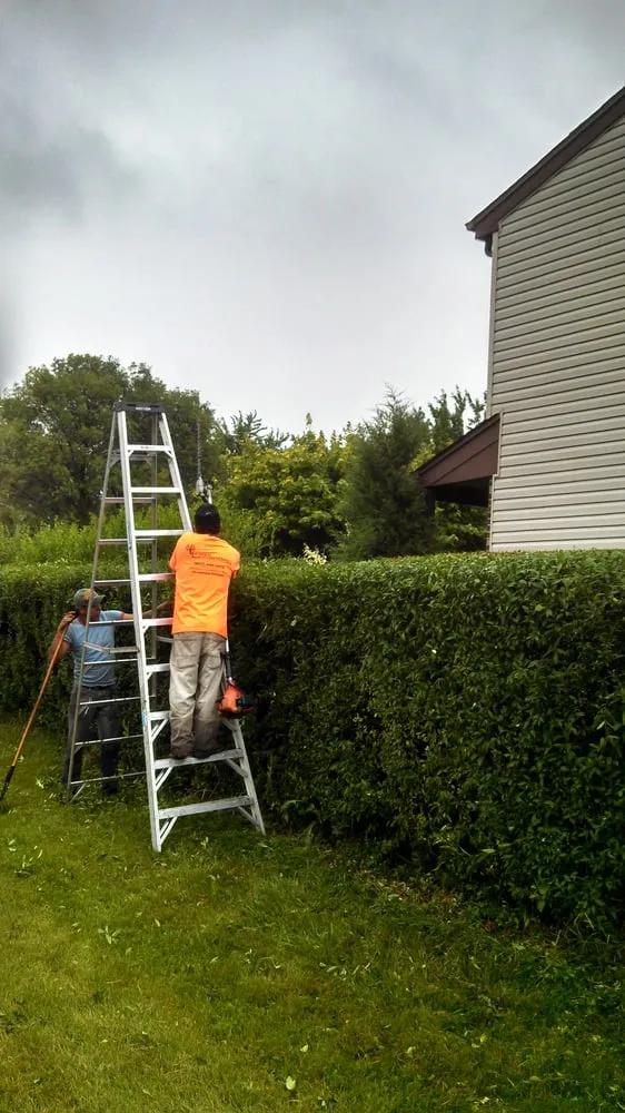 Top-rated landscaping services near you across Des Plaines, IL - Lunar Landscaping