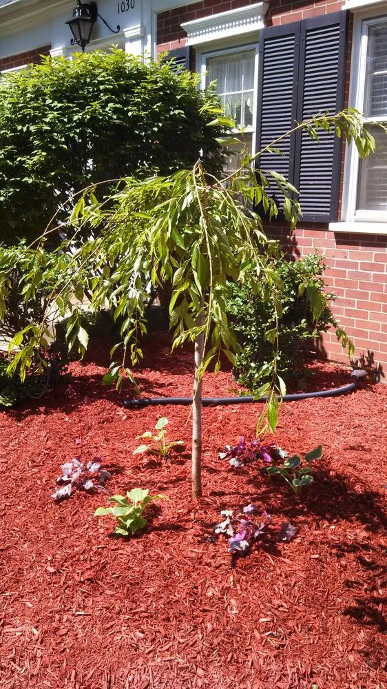 Trusted landscape design in Des Plaines, IL by Lunar Landscaping