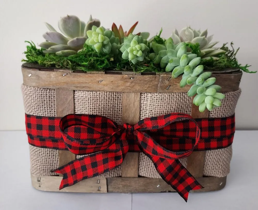 Custom lawn mowing service for year-round maintenance in Torrance, CA by Lunaria Thorne