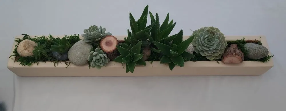 Trusted landscaping services in Torrance, CA by Lunaria Thorne