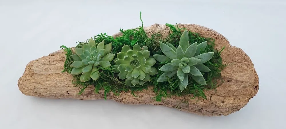 Reliable garden landscaping in Torrance, CA by Lunaria Thorne