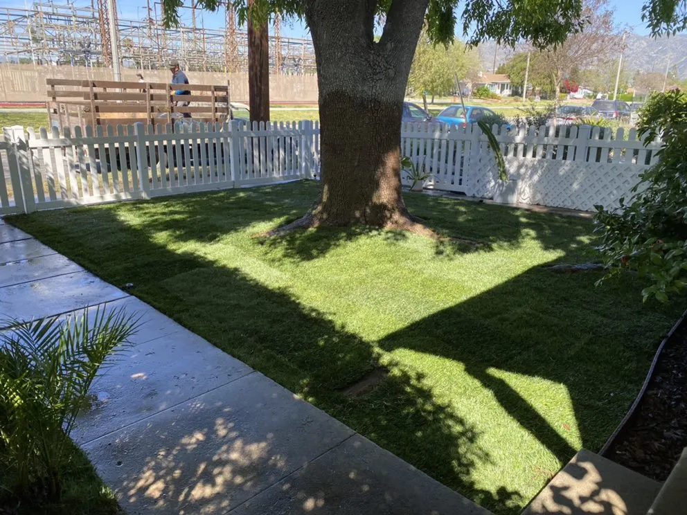 Custom residential landscaping in San Fernando Valley, CA - Luna’s artificial grass