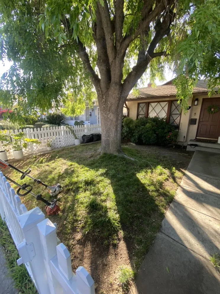 Professional garden landscaping in San Fernando Valley, CA - Luna’s artificial grass