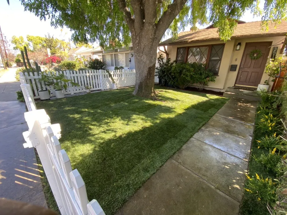 Trusted outdoor landscaping for year-round maintenance across San Fernando Valley, CA - Luna’s artificial grass