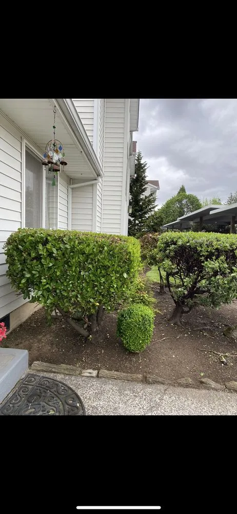 Reliable lawn mowing service in Gresham, OR - Luna’s Landscape