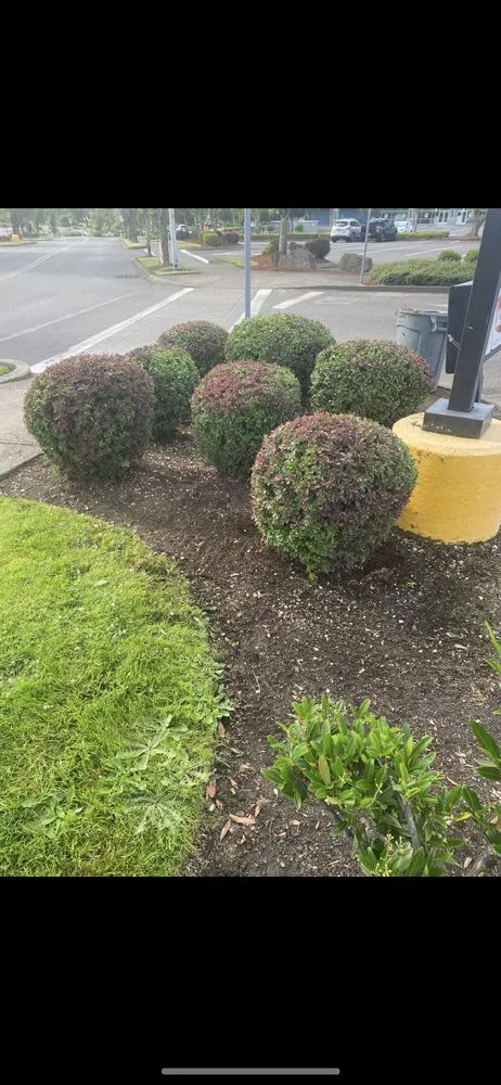 Reliable outdoor landscaping experts serving Gresham, OR - Luna’s Landscape