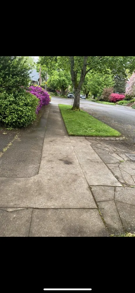 Expert yard cleanup service for residential properties across Gresham, OR - Luna’s Landscape