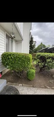 Luna’s Landscape Logo