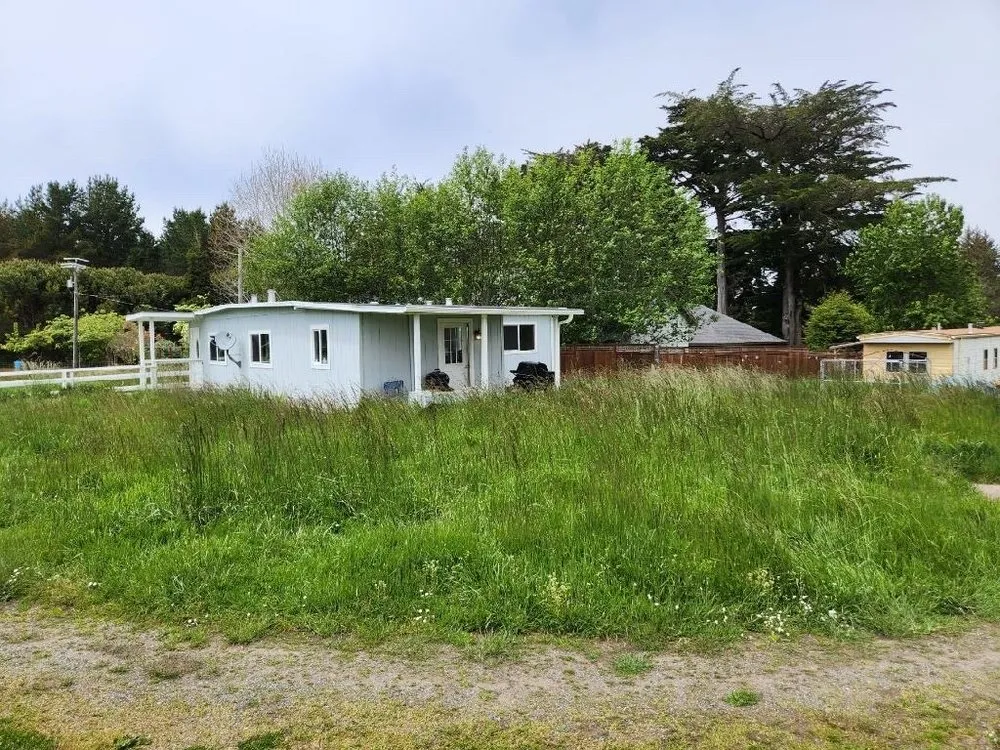 Local landscape design for year-round maintenance in Eureka, CA by Lunas Landscaping Cleaning Services