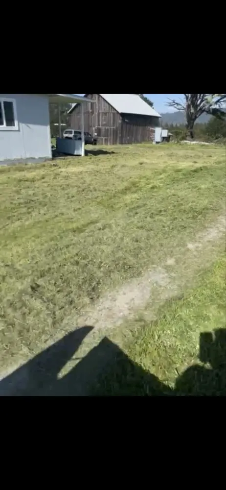 Local landscape design in Eureka, CA by Lunas Landscaping Cleaning Services