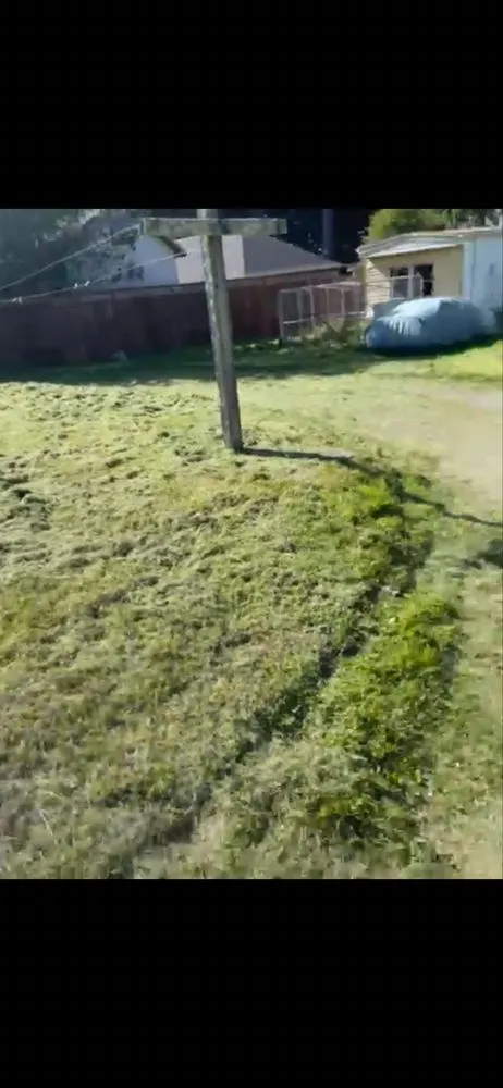 Expert yard cleanup service experts serving Eureka, CA - Lunas Landscaping Cleaning Services